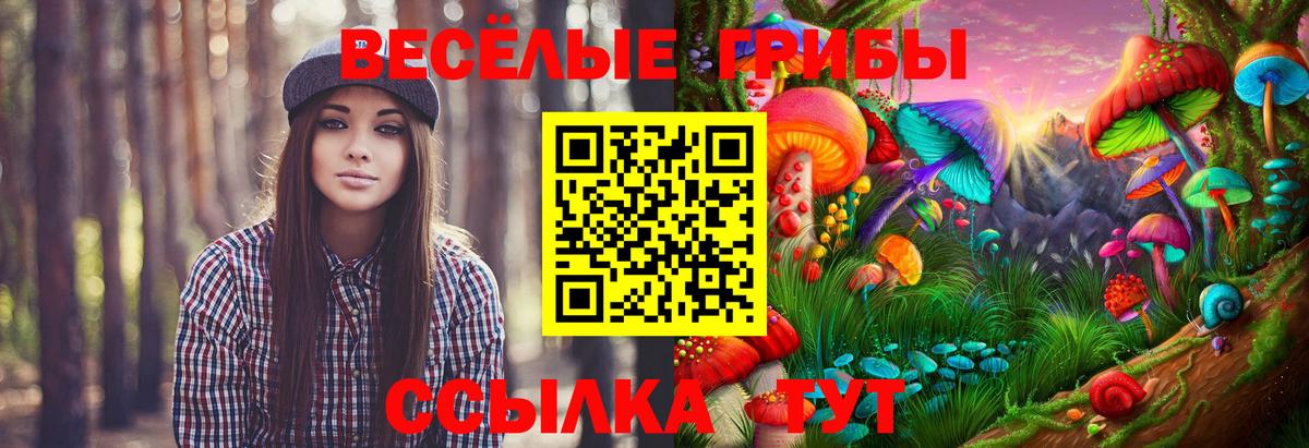Галлюциногенные грибы MAGIC MUSHROOMS Кизилюрт