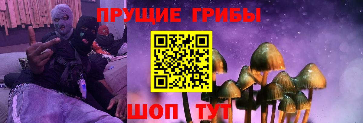 Кизилюрт  Галлюциногенные грибы Psilocybe  закладки  Вход с VPN  Псилоцибиновые грибы мицелий 
